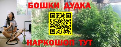 прущие грибы Камышлов