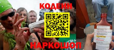 прущие грибы Камышлов