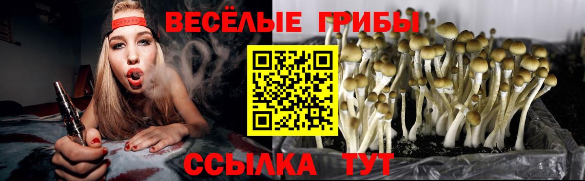 Югорск  купить наркоту  Вход с VPN  Псилоцибиновые грибы Psilocybe 